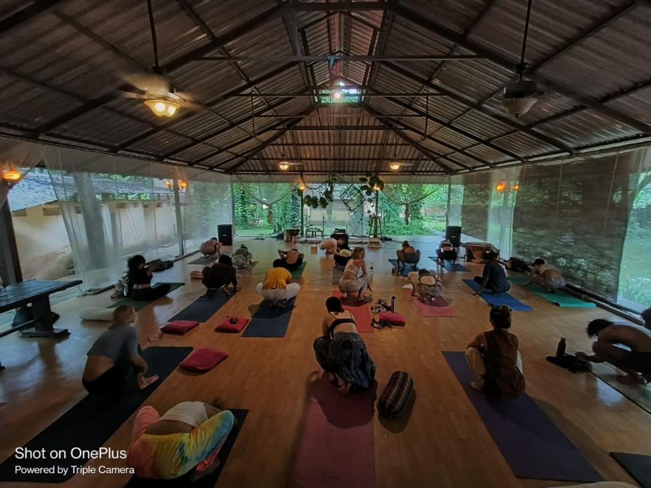 Satori Wellness Cottages I Yoga, Sauna, Ice Bath, Holistic Therapies & More Mandrem Eksteriør bilde