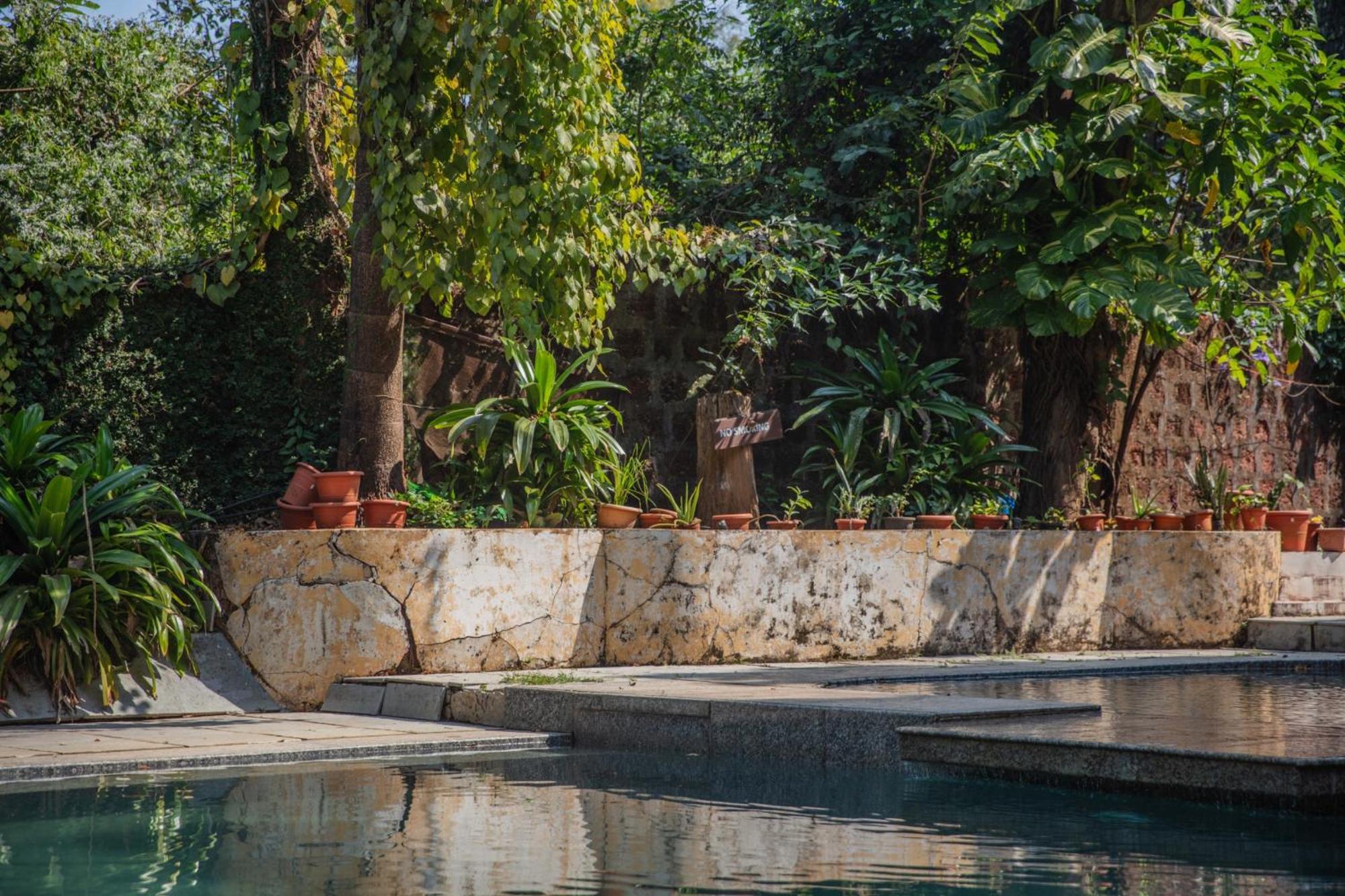 Satori Wellness Cottages I Yoga, Sauna, Ice Bath, Holistic Therapies & More Mandrem Eksteriør bilde