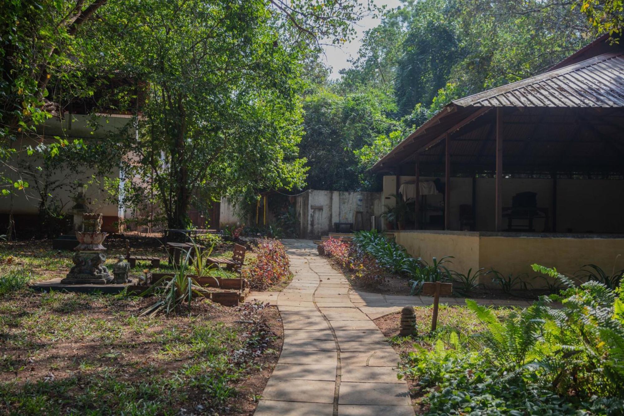 Satori Wellness Cottages I Yoga, Sauna, Ice Bath, Holistic Therapies & More Mandrem Eksteriør bilde